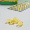 Garlic Oil Plus MSP