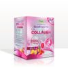 MSP COLLAGEN