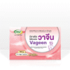 Vageen MSP
