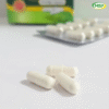 MSP Biloba